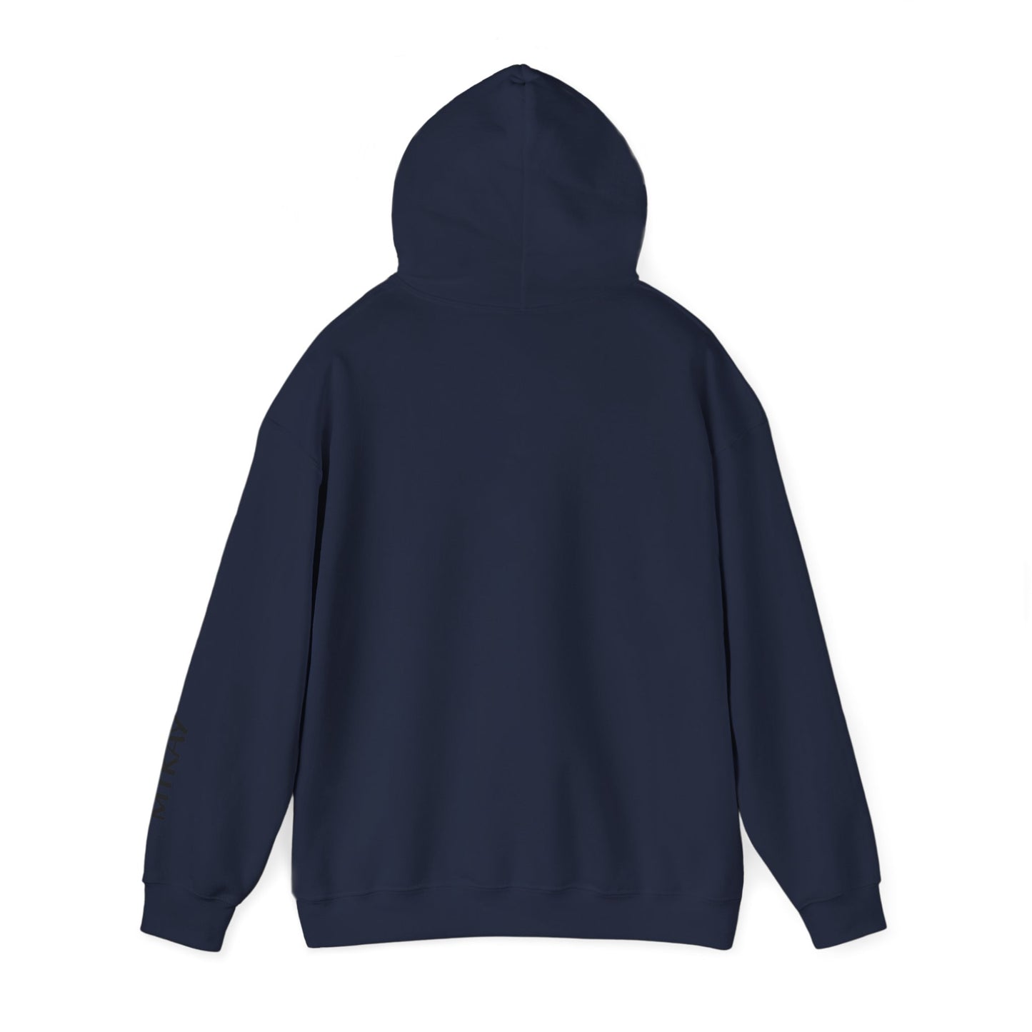 Hoodie — "Sounds Gay, I'm In" Rainbow Pride Pullover