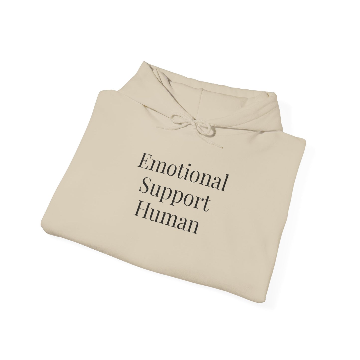 Emotional Support Human, Cozy Sweatshirt, Gift, Everyday Wear, Relaxation Hoodie, Unisex Fashion