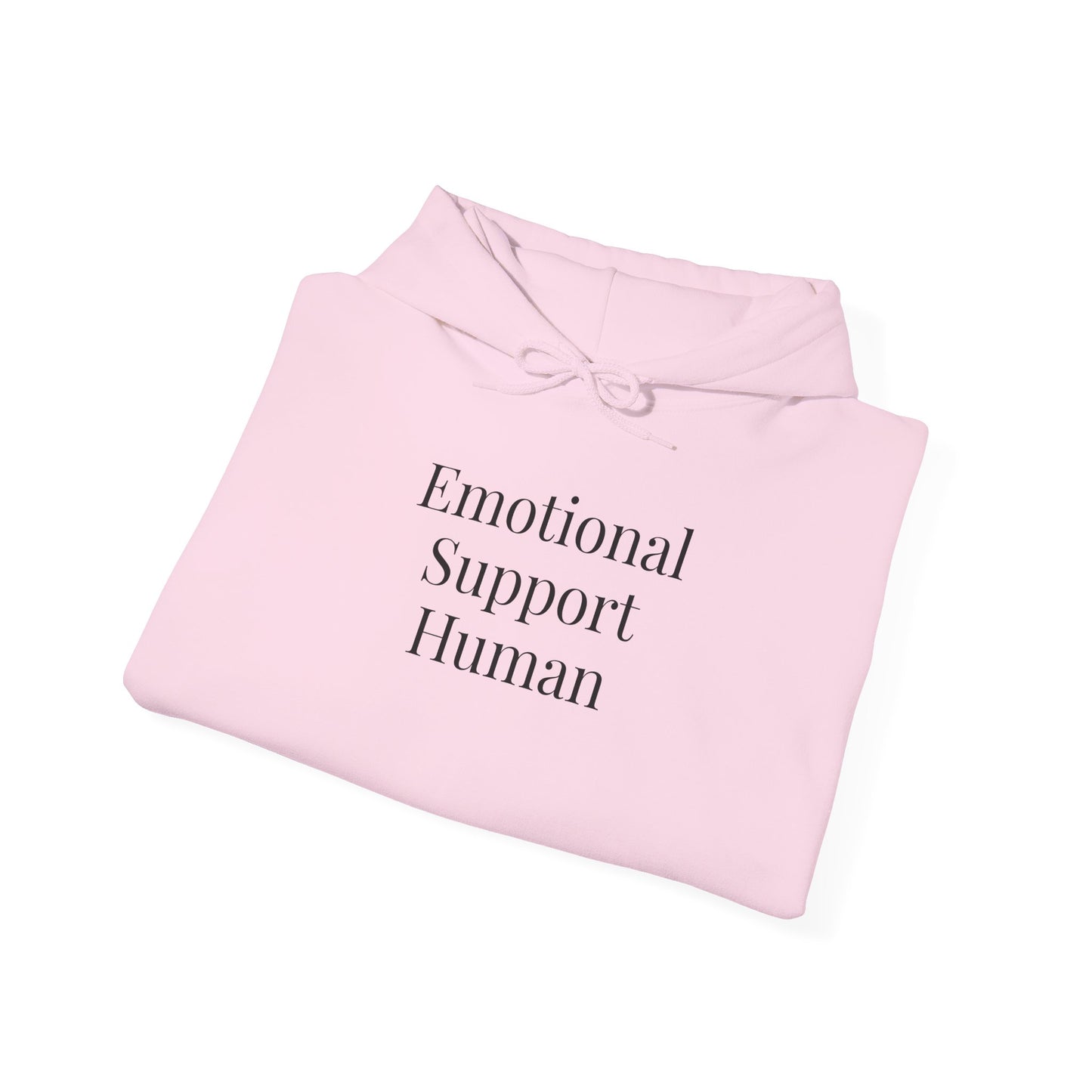 Emotional Support Human, Cozy Sweatshirt, Gift, Everyday Wear, Relaxation Hoodie, Unisex Fashion