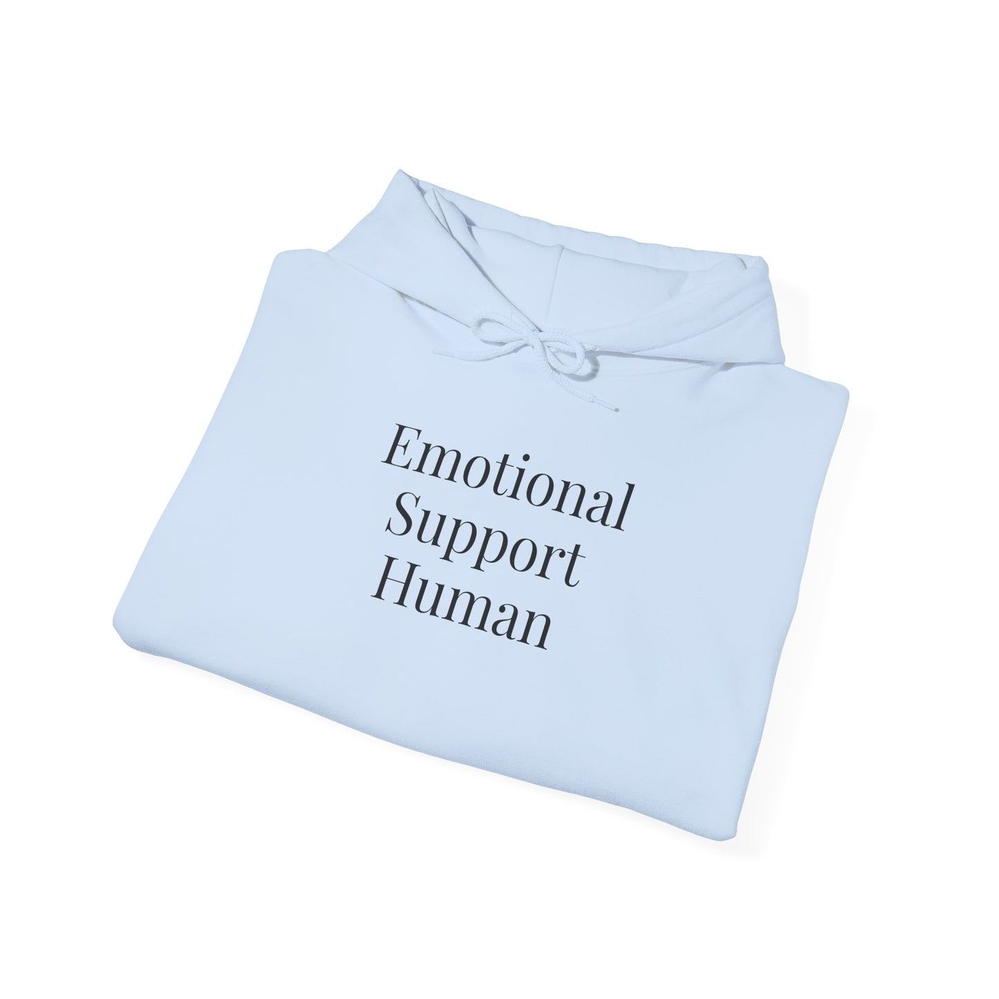 Emotional Support Human, Cozy Sweatshirt, Gift, Everyday Wear, Relaxation Hoodie, Unisex Fashion
