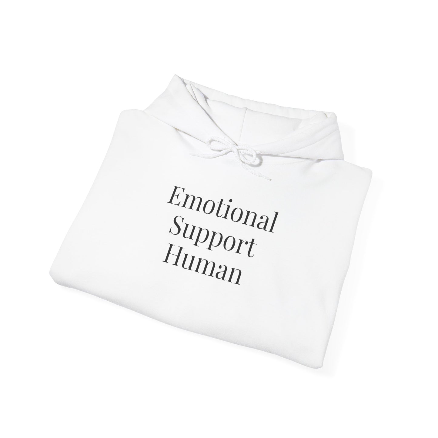 Emotional Support Human, Cozy Sweatshirt, Gift, Everyday Wear, Relaxation Hoodie, Unisex Fashion