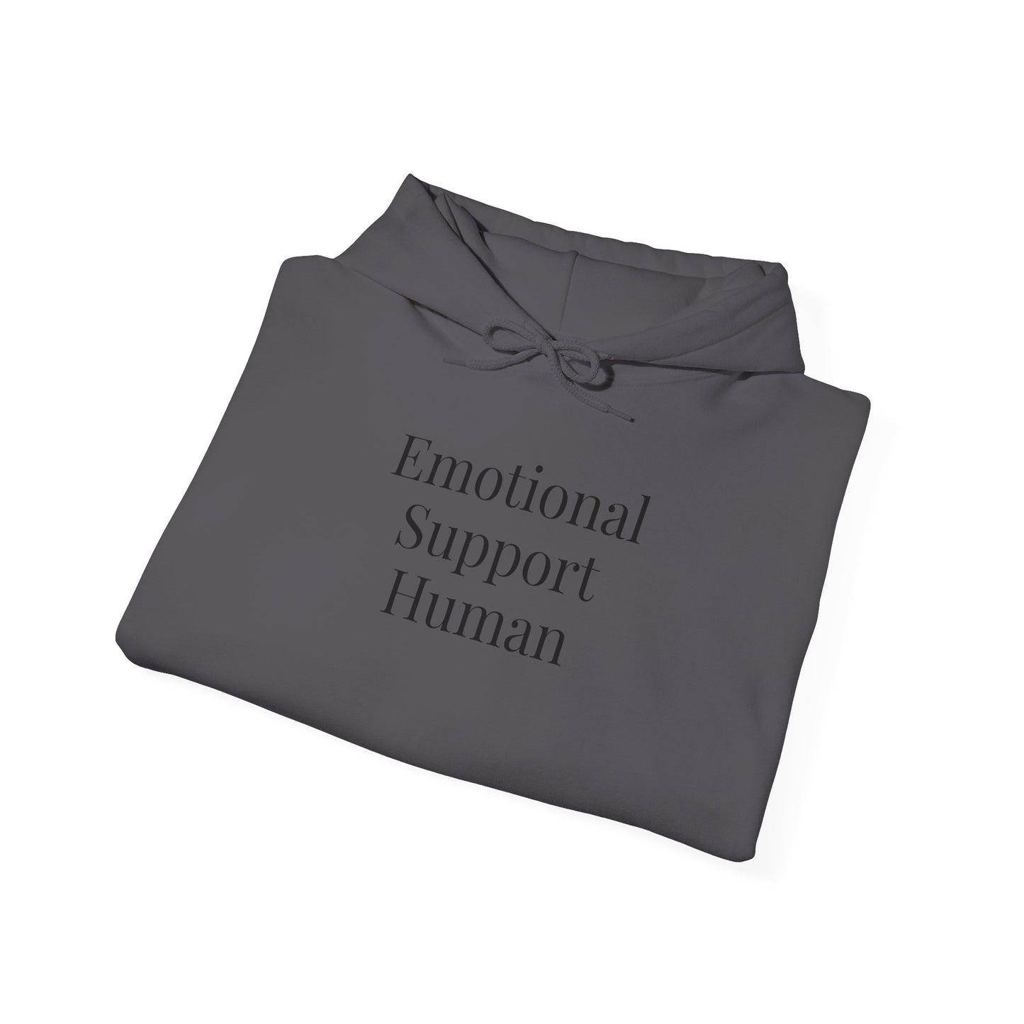 Emotional Support Human, Cozy Sweatshirt, Gift, Everyday Wear, Relaxation Hoodie, Unisex Fashion